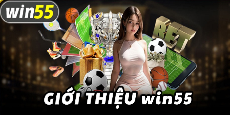 Tổng quan về những thông tin nhà cái win55