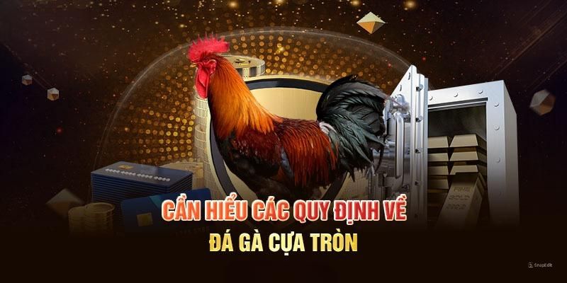 Cần nắm bắt rõ những nguyên tắc về đá gà cựa tròn 