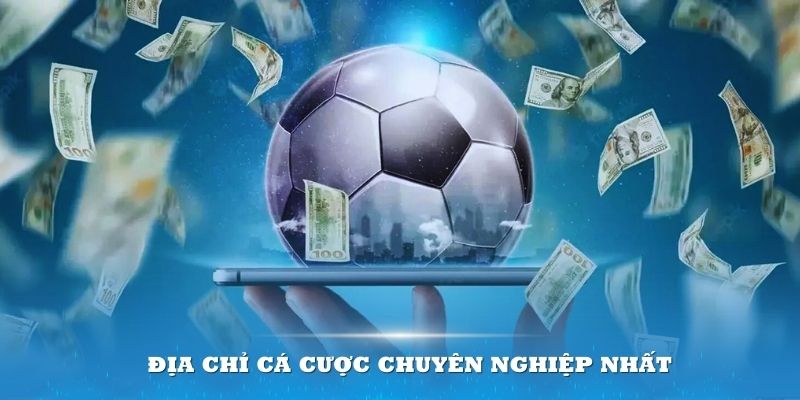 Sân chơi Thể thao này mở ra cho thành viên một địa chỉ cá cược chuyên nghiệp nhất